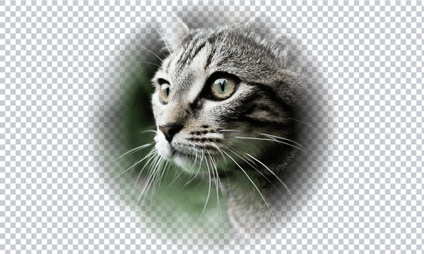 Professional halftone processing